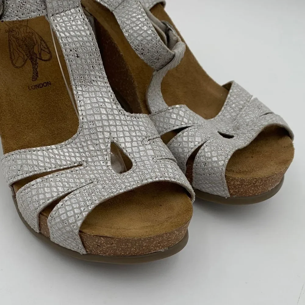 stylish fly